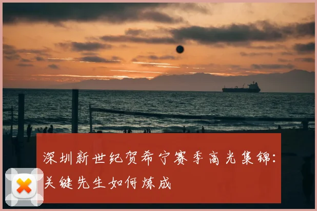 深圳新世纪贺希宁赛季高光集锦:关键先生如何炼成